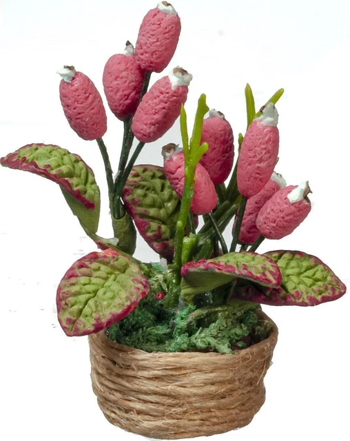 Dolls House Pink Cone House Plant in Rope Pot Miniature Home Garden Accessory