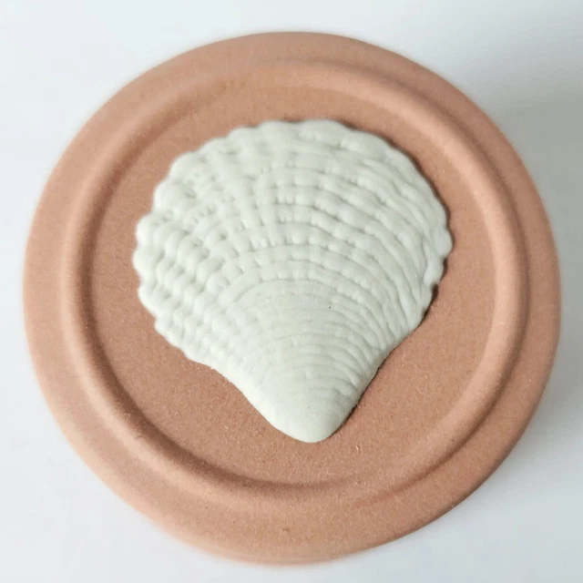 Wedgwood Terre Cuite - Nautilus Coque Pilule Boîte - Emballé