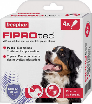 Collier de chien plomb Set Fetch Sit & séjour SML Green Spot on Marron Forte Qualité 