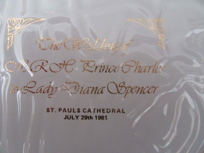Royal Wedding Charles & Diana 1991  31 Commemorative Covers Collection in Album