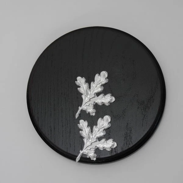 Placa de Jabalí Tablero Keiler Escudo de Trofeo Redondo Oscuro Af 15 CM Con 2X 2