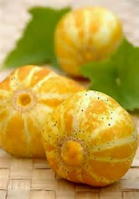 Round Lemon Cucumber Seeds - Delicious & Mild - See our store! COMBINED S/H!