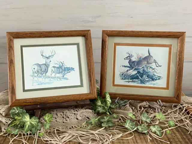 2 Vintage Deer Wild Life Art Prints Signed Louis Ramer Framed Deer Decor