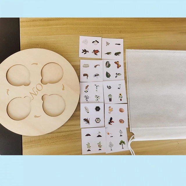 LIFE CYCLE TRAY, Life Cycle Puzzle, Wooden Jigsaw Puzzle for Kids ...