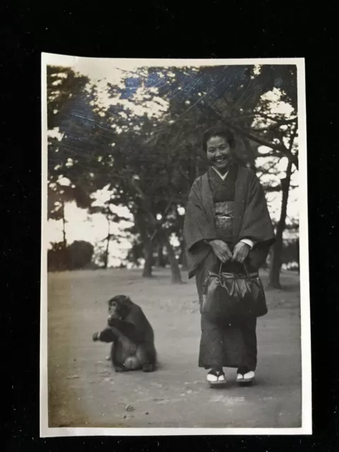 #3693 Giapponese Vintage Foto 1940s / Donna Kimono Scimmia Park Albero