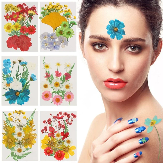 Photo Props Resin Filler Dried Flowers Resin Mold Filling Flower Beauty Decal