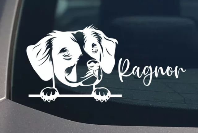 Peeking Brittany Spaniel Dog Car Decal Vinyl Sticker Window Personalize Mum