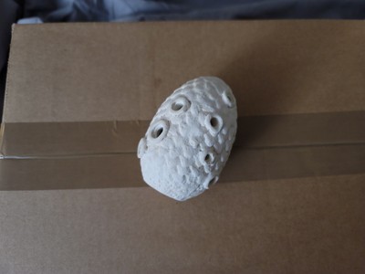 Songbird Dragon Egg Ocarina Alto Bb