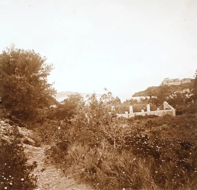 FRANCE Port-Cros Île à Hyères c1930 Photo Plaque de verre Vintage V36L5n12