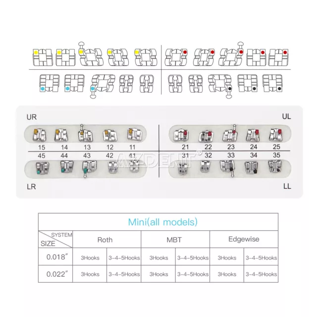 AZDENT Dental Orthodontic Bracket Braces Mini Roth Standard Edgewise MBT 022/018 3