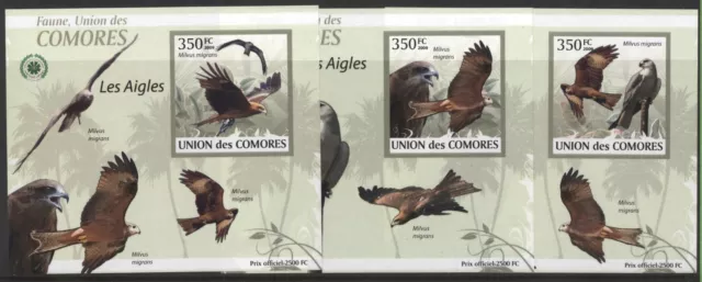 Comore 2009 The Eagles, 5 fogli souvenir, nuovi di zecca