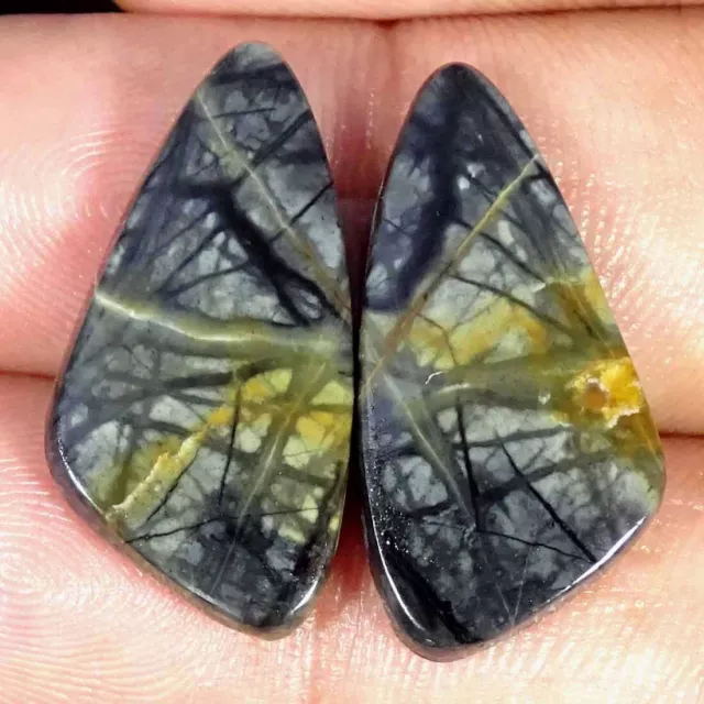 20.10Cts Natural Picasso Jasper Cabochon Loose Gemstone Fancy Pair