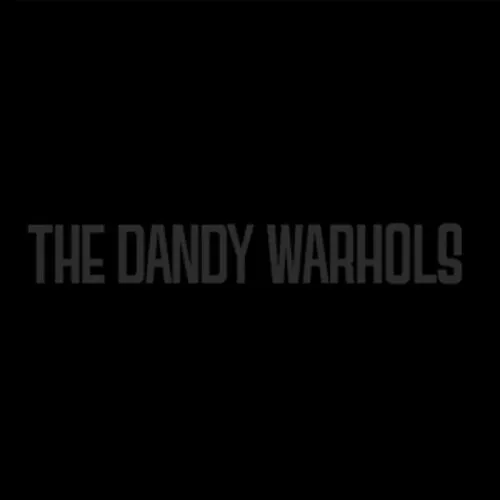 The Dandy Warhols - The Black Album [New Vinyl LP] Explicit