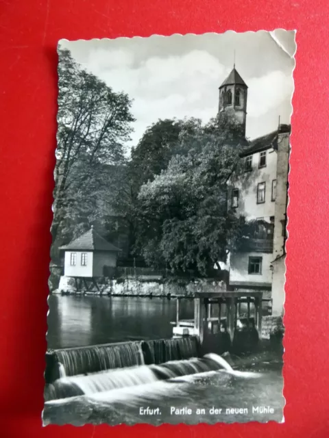 Erfurt 1957 - Partie an der Neuen Mühle - Predigerkirche - Kleinformat Echtfoto