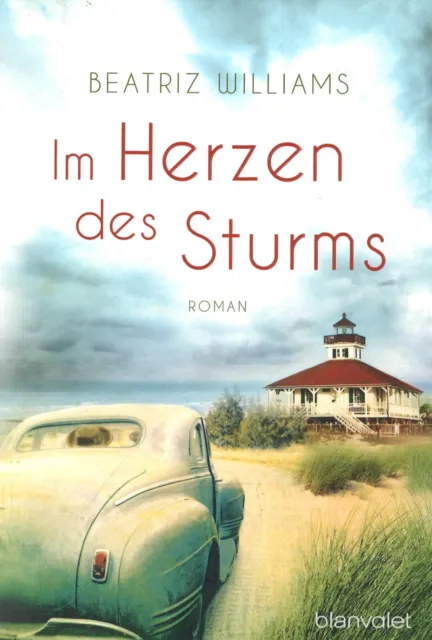Im Herzen des Sturms von Beatriz Williams (2014, Taschenbuch)