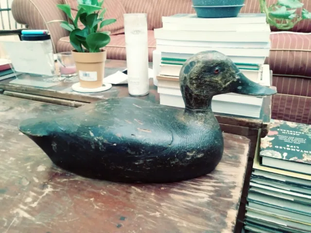 Antique DUCK DECOY HAND CARVED WOODEN DECOY BLACK DUCK 20TH CENTURY Glass EYES