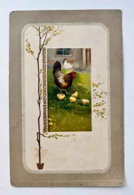 1900s Vintage Postcards Rooster Chickens Spring Old postcards