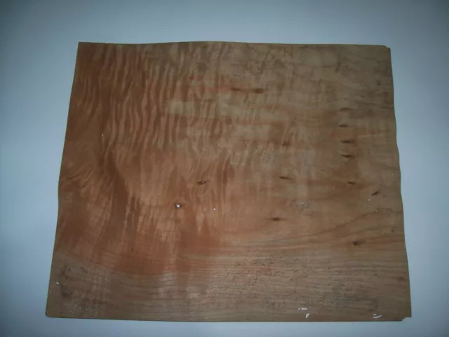 Impiallacciatura  Tranciato Di Legno Naturale Di Acero Radica-Pedola  N.8 Fogli