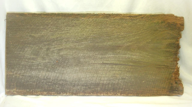 Rustic Weathered Oak Barn Wood Reclaimed Rough Cut Board Great Plaque Sign Moss 2