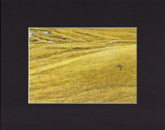 8X10" Matted Print Art Painting Picture, Robert Bateman: First Arrival Bird, '70