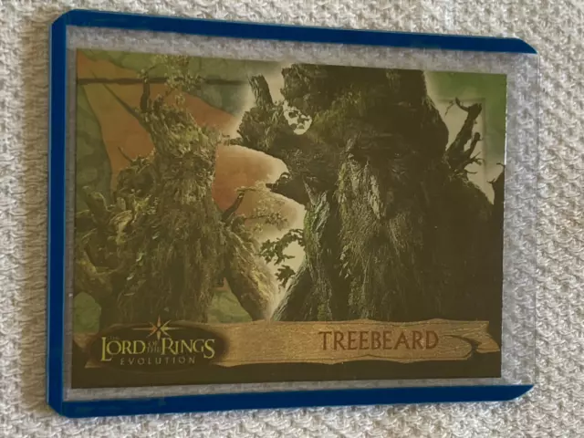 Lord of the Rings EVOLUTION Card #44 Topps Chrome Base 2006 EX/EX+