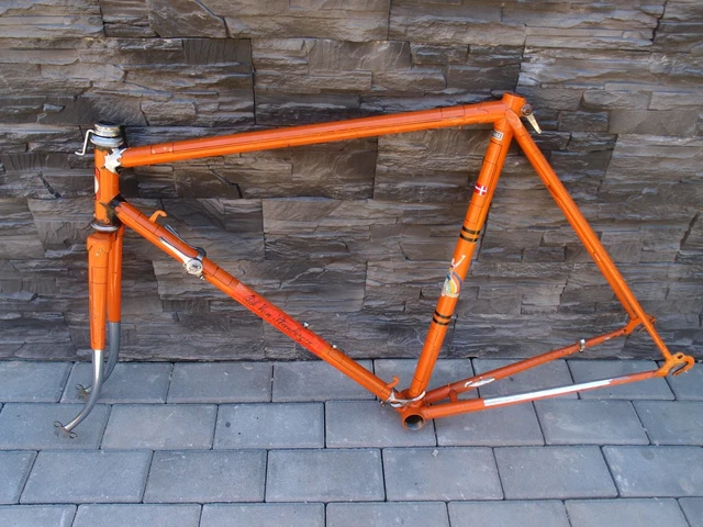 RIK VAN STEENBERGEN vintage road bike frame set Zeus Huret Nervex