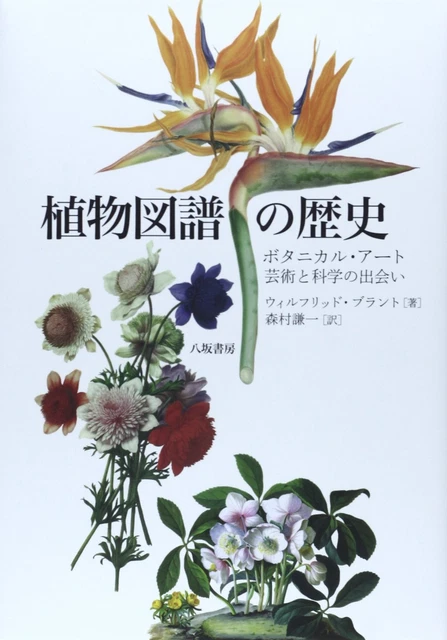 希少品】時代物赤珊瑚釉鈞窯大花瓶古美術Y206 $959.11 - PicClick AU