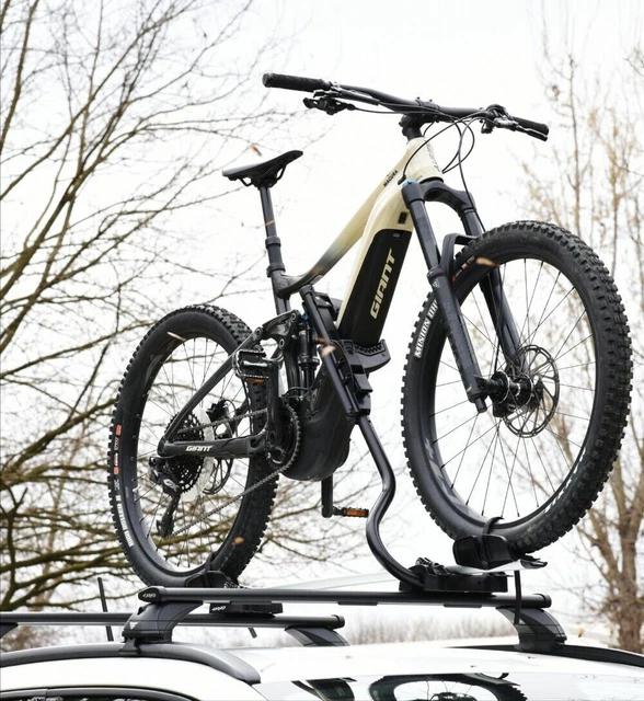 Fahrradtrager E Bike Dach