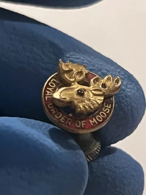 c1940s Loyal Order Of The Moose PAP Pin Lapel Vintage Vtg