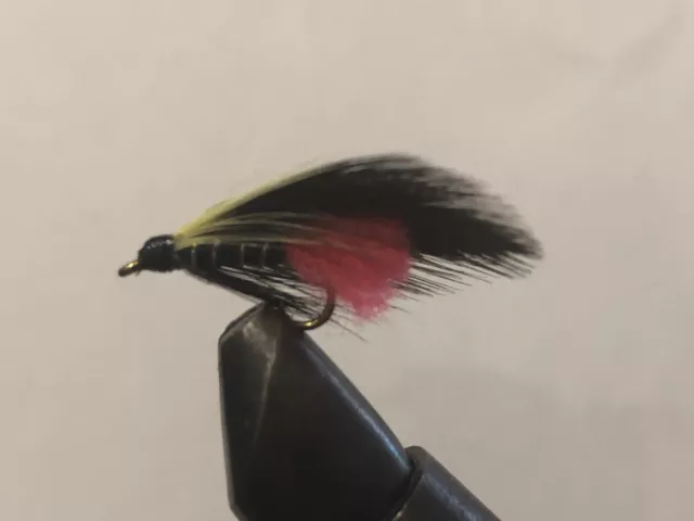 CRAIG'S NIGHTTIME  Flies - Size 10 (1 dozen) - Online Seller Closing Down 