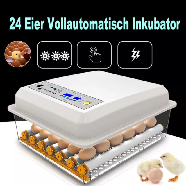 Inkubator 24 Eier Brutapparat Vollautomatisch Brutmaschine Brutautomat Incubator