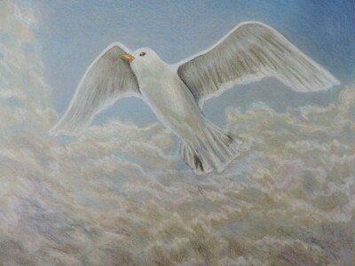 Soaring High, Original 9x12 Colored Pencil Drawing, Unframed, Bird 5