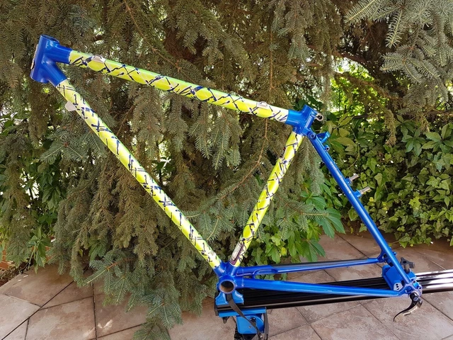 Cadre VTT 26'' Titane RARE Raleigh Dynatech Taille M