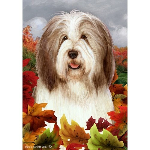 Fall Garden Flag (TB) - Brown and White Bearded Collie 134821