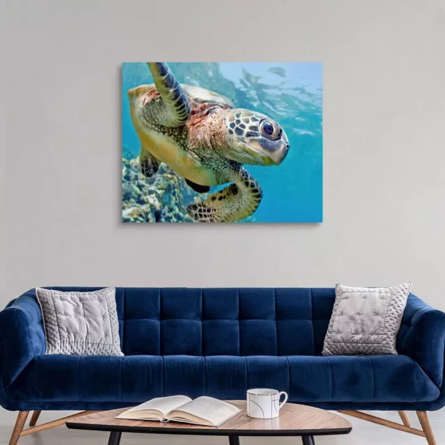 Hawaii, Green Sea Turtle (Chelonia Canvas Wall Art Print, Sea Turtle Home Decor