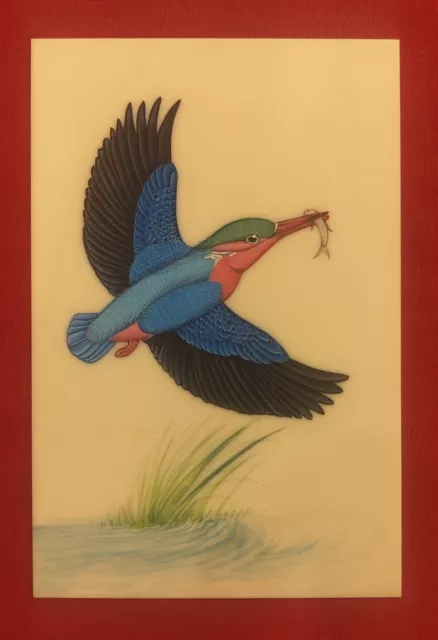 Original Hand Painted King Fisher Bird Intricate Indian Miniature Painting Art