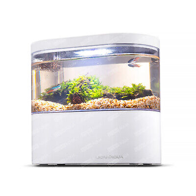 Portable Desktop Fish Tank Mini Aquarium With USB Port Home Office Decoration