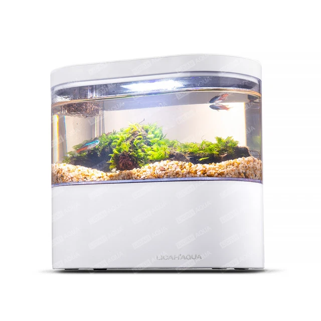 Portable Desktop Fish Tank Mini Aquarium With USB Port Home Office Decoration