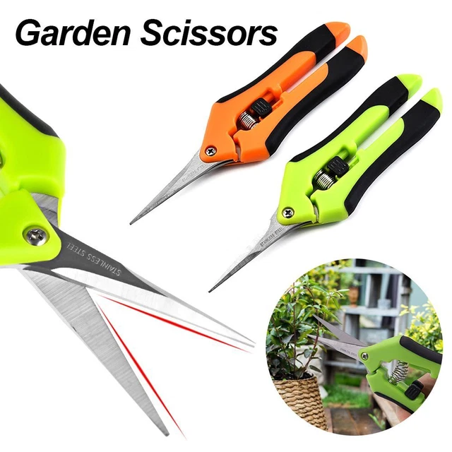 Outils à main Ciseaux de jardin Outil de greffage de jardin Pruneur greffage