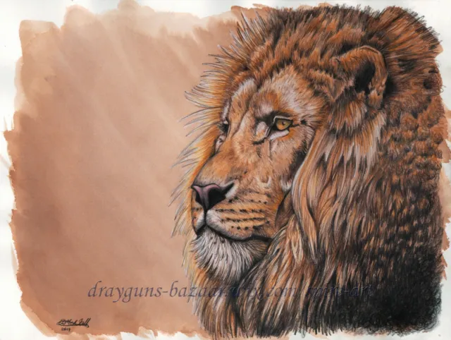 SFA Original Art 9x12" Cat Lion Realism Animal Colored Pencil Painting -SMcNeill
