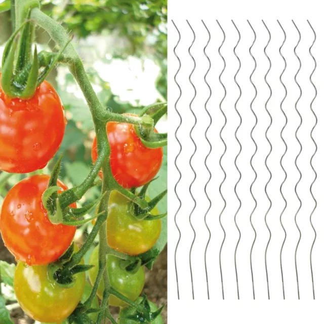 10 Piezas Varillas de Espiral Tomate Galvanizado Acero Barras Siembra