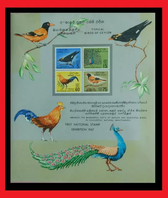 107. Sri Lanka 1967 Imperf. Francobollo S/S Typical Uccelli Di Ceylon. MNH
