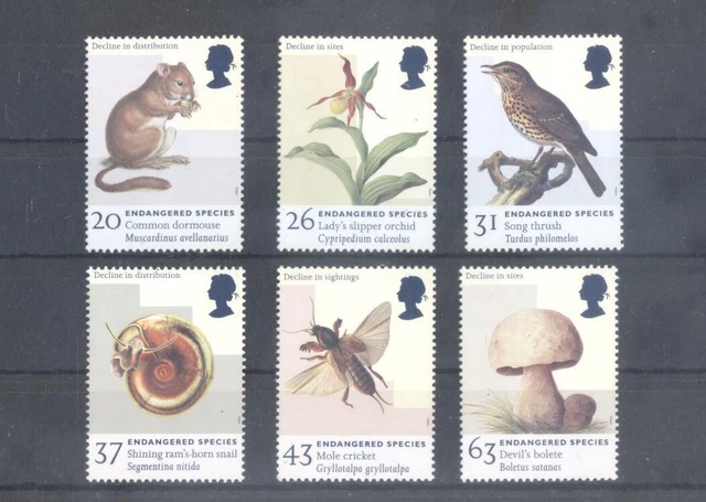 (886851) Birds, Insects, Mushrooms, Great Britain (886851) Birds, Insects, Mushrooms, Great Britain