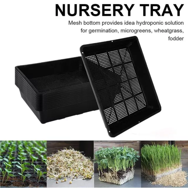 5Pack Seed Starter Trays 16.5in Plant Trays Mesh Bottom Growing Trays Seedlings