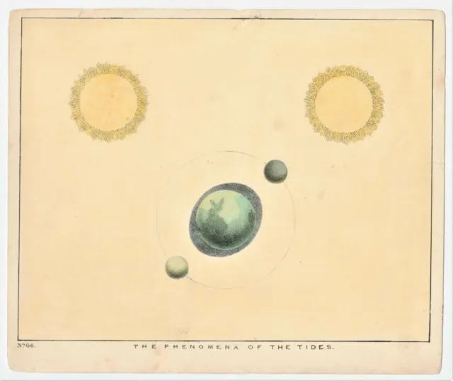 Antique Print "The Phenomena of the Tides (N.66)" C. F. Blunt-D. Bogue, 1845