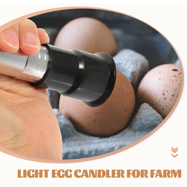 Egg Candler Tester Incubator Rechargeable LED Flashlight Egg Hatching Light 2