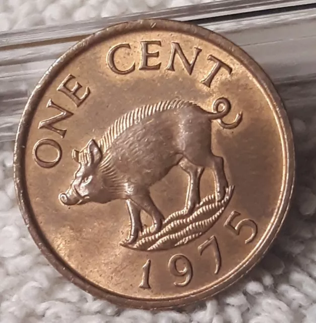 Very Beautiful 1975 Burmuda 1 Cent Bronze Coin , UK Territory,  Queen Elizabeth