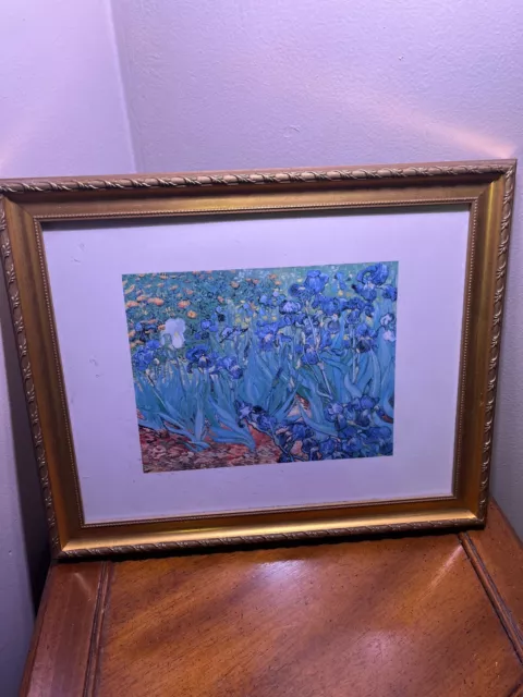 Vincent Van Gough ~ Les Irises Flower ~ Beautiful Art Framed Print- MMA 1986