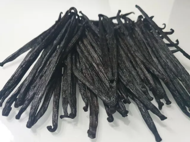 Vanilla Pods / Beans PNG Tahitian Gourmet Grade B 10-15cm Strong Aroma