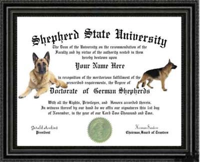 German Shepherd Dog Lover's Diploma / Degree Custom made and Designed For You